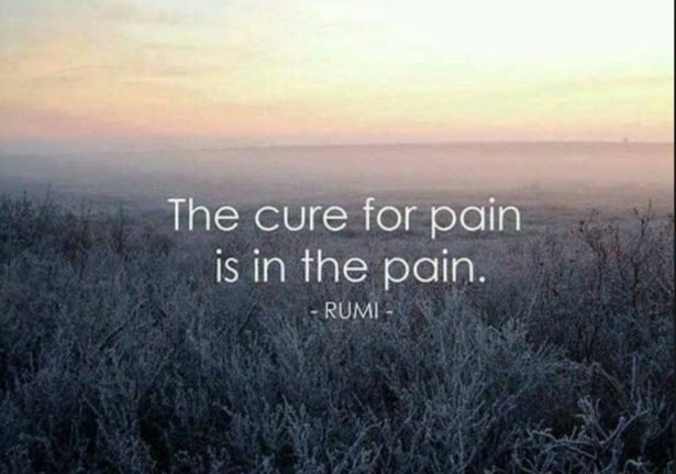 the cure for pain is in the pain