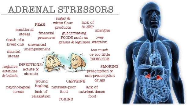 adrenal-stressors